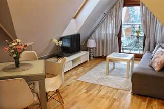 Апартаменты Zakopane Apartamenty LUX Закопане Апартаменты с 1 спальней-5